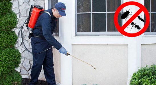 Samandağ Gümüşkurt İlaçlama böcek ilaçlama ve haşere kontrolü — ilaclama-tr.com
